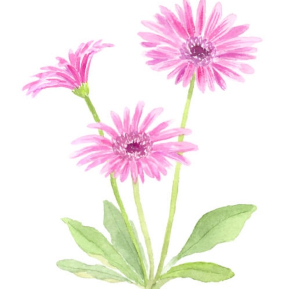 Meet your Posher, Laura - Picture 1 of 1